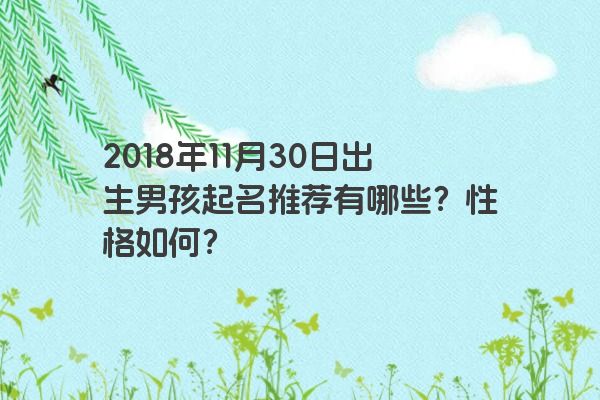 2018年11月30日出生男孩起名推荐有哪些？性格如何？