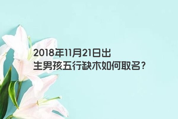 2018年11月21日出生男孩五行缺木如何取名？