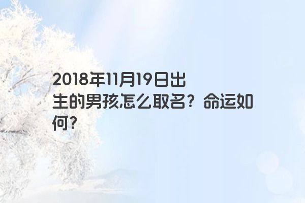 2018年11月19日出生的男孩怎么取名？命运如何？