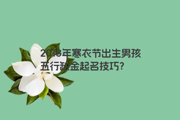 2018年寒衣节出生男孩五行缺金起名技巧？