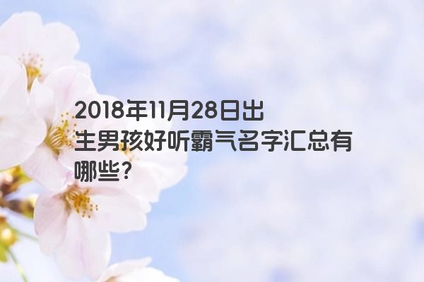 2018年11月28日出生男孩好听霸气名字汇总有哪些？