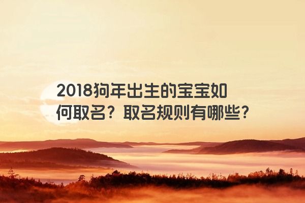2018狗年出生的宝宝如何取名？取名规则有哪些？