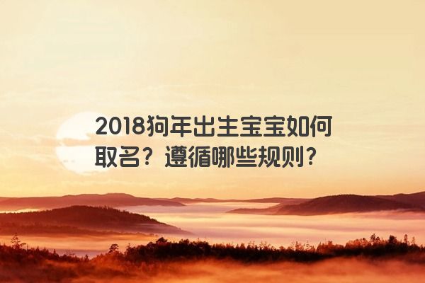 2018狗年出生宝宝如何取名？遵循哪些规则？