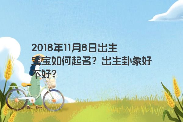 2018年11月8日出生宝宝如何起名？出生卦象好不好？