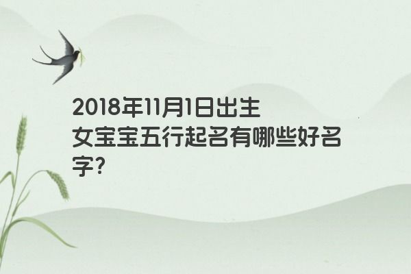 2018年11月1日出生女宝宝五行起名有哪些好名字？