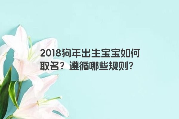 2018狗年出生宝宝如何取名？遵循哪些规则？