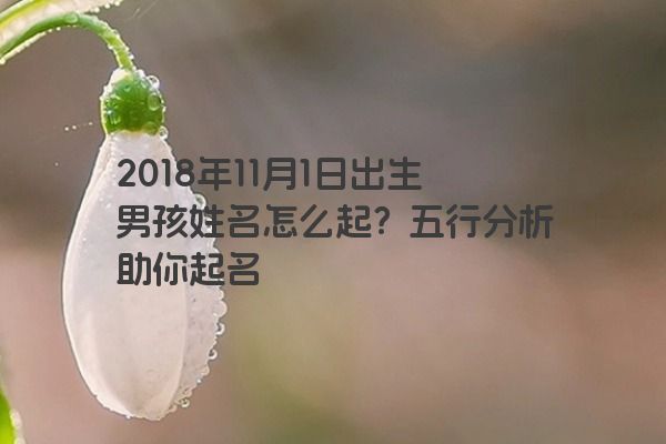 2018年11月1日出生男孩姓名怎么起？五行分析助你起名