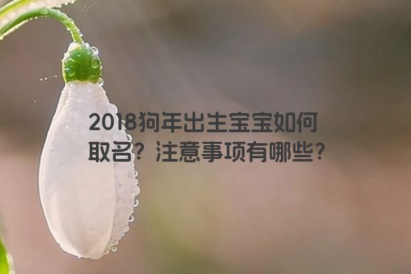 2018狗年出生宝宝如何取名？注意事项有哪些？