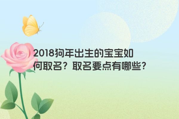 2018狗年出生的宝宝如何取名？取名要点有哪些？