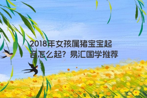 2018年女孩属猪宝宝起名怎么起？易汇国学推荐