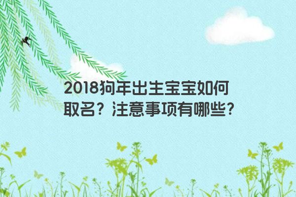 2018狗年出生宝宝如何取名？注意事项有哪些？