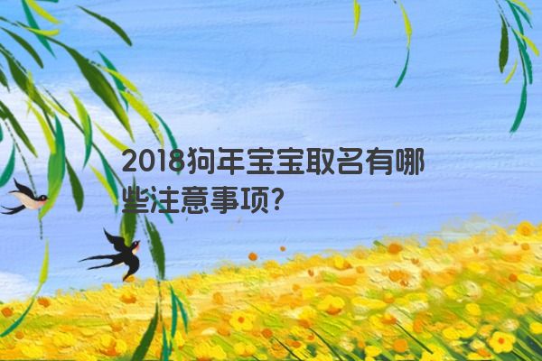 2018狗年宝宝取名有哪些注意事项？