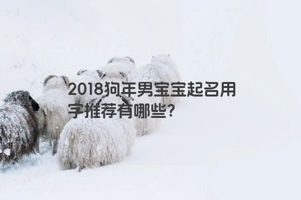 2018狗年男宝宝起名用字推荐有哪些？