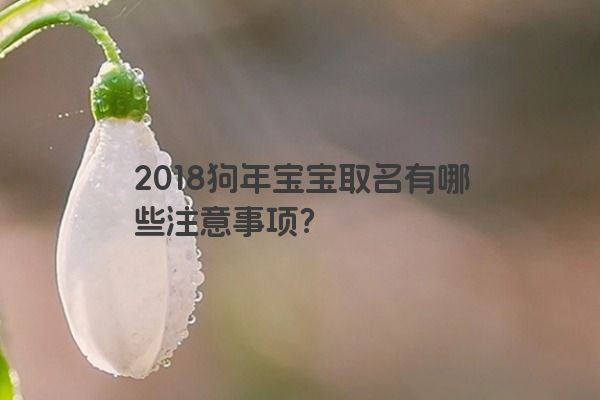 2018狗年宝宝取名有哪些注意事项？