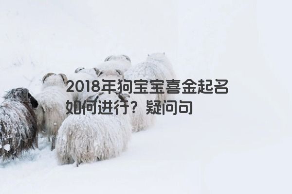 2018年狗宝宝喜金起名如何进行？疑问句