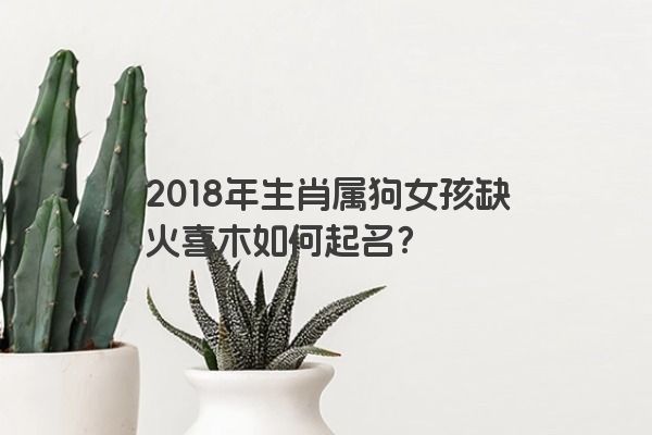 2018年生肖属狗女孩缺火喜木如何起名？