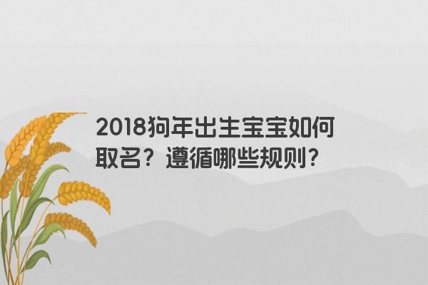2018狗年出生宝宝如何取名？遵循哪些规则？