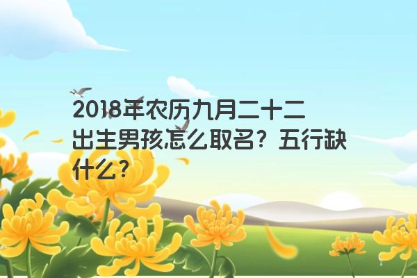 2018年农历九月二十二出生男孩怎么取名？五行缺什么？