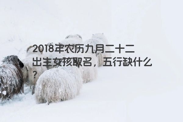 2018年农历九月二十二出生女孩取名，五行缺什么？