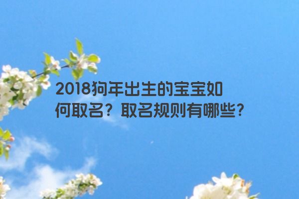 2018狗年出生的宝宝如何取名？取名规则有哪些？