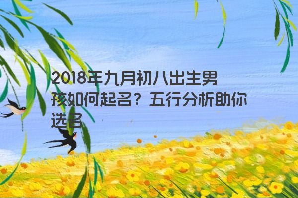 2018年九月初八出生男孩如何起名？五行分析助你选名