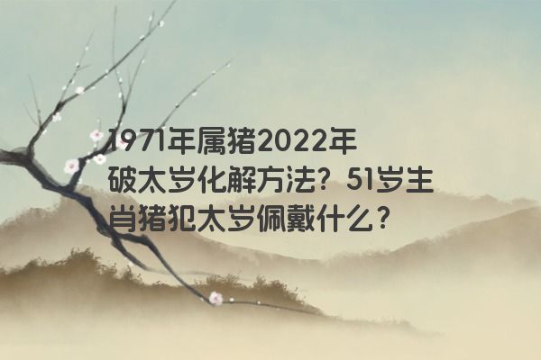 1971年属猪2022年破太岁化解方法？51岁生肖猪犯太岁佩戴什么？