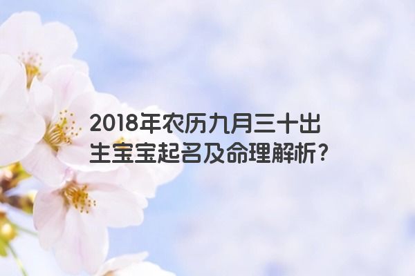 2018年农历九月三十出生宝宝起名及命理解析？