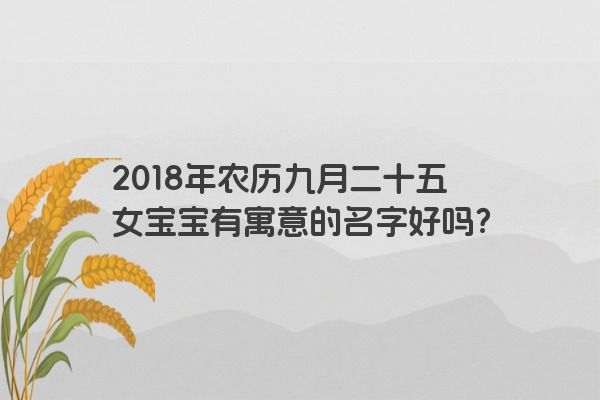 2018年农历九月二十五女宝宝有寓意的名字好吗？