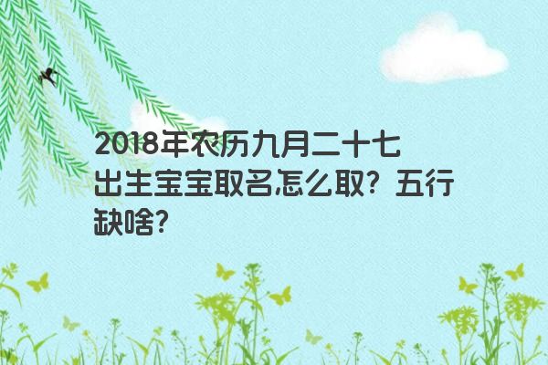 2018年农历九月二十七出生宝宝取名怎么取？五行缺啥？