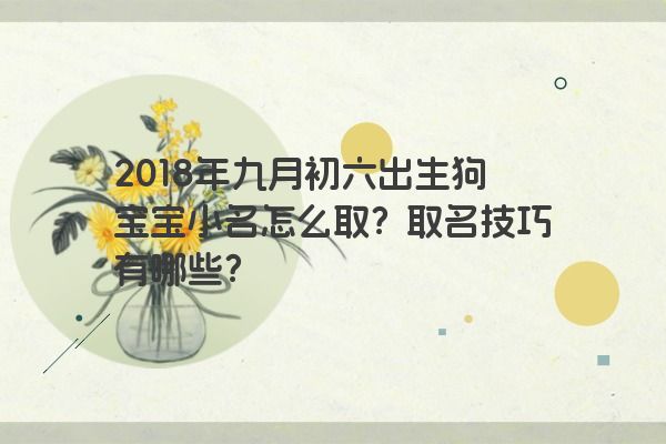 2018年九月初六出生狗宝宝小名怎么取？取名技巧有哪些？