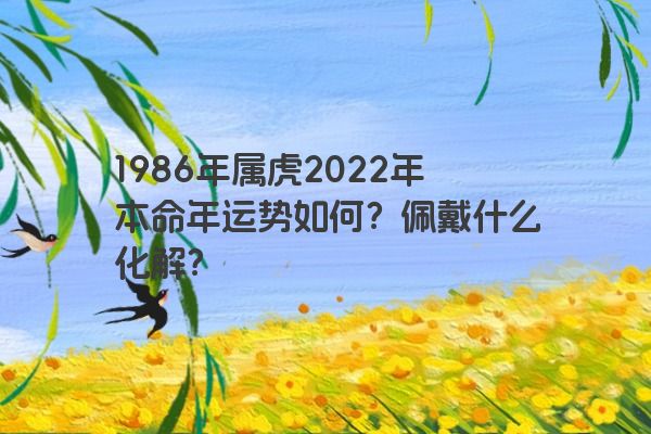 1986年属虎2022年本命年运势如何？佩戴什么化解？