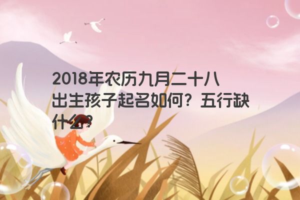 2018年农历九月二十八出生孩子起名如何？五行缺什么？