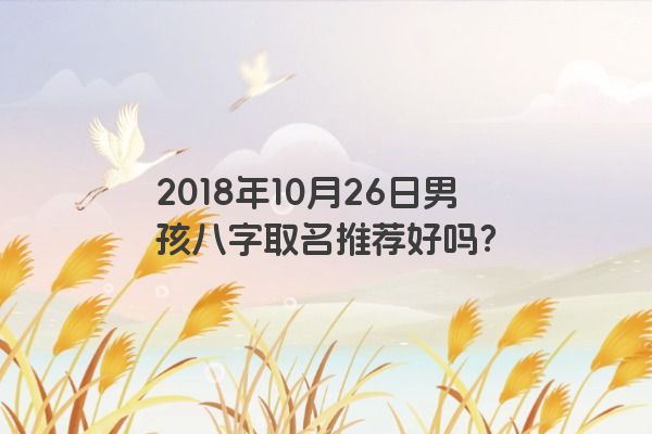 2018年10月26日男孩八字取名推荐好吗？