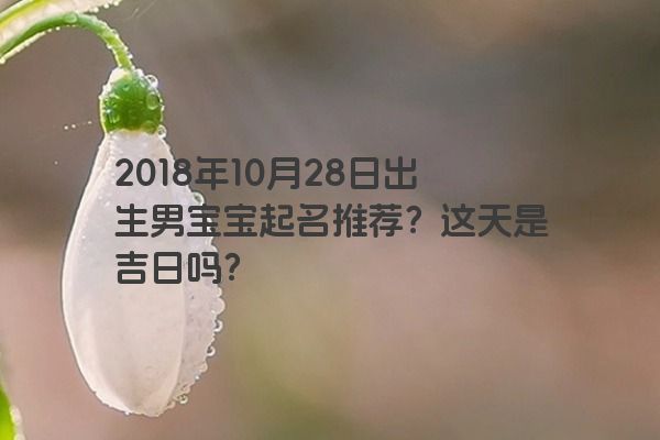 2018年10月28日出生男宝宝起名推荐？这天是吉日吗？