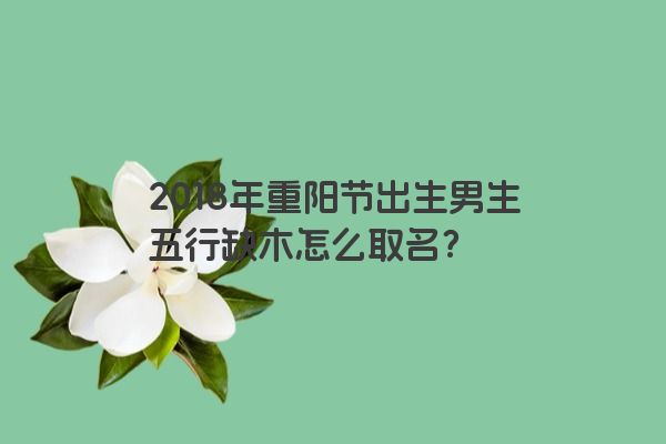 2018年重阳节出生男生五行缺木怎么取名？