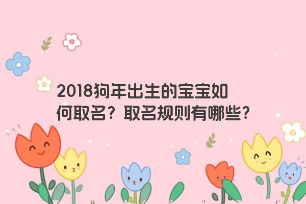 2018狗年出生的宝宝如何取名？取名规则有哪些？