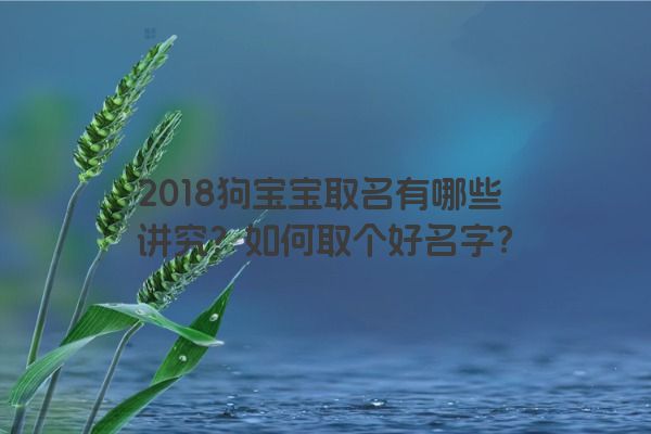 2018狗宝宝取名有哪些讲究？如何取个好名字？