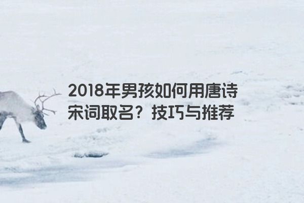 2018年男孩如何用唐诗宋词取名？技巧与推荐