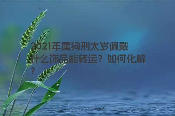 2021年属狗刑太岁佩戴什么饰品能转运？如何化解？