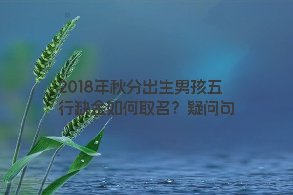 2018年秋分出生男孩五行缺金如何取名？疑问句