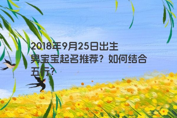 2018年9月25日出生男宝宝起名推荐？如何结合五行？