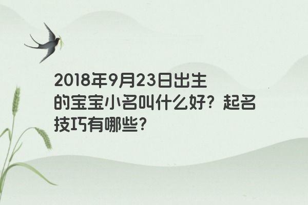 2018年9月23日出生的宝宝小名叫什么好？起名技巧有哪些？