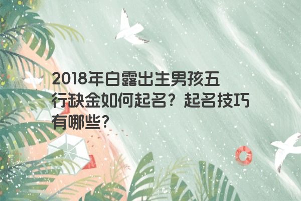 2018年白露出生男孩五行缺金如何起名？起名技巧有哪些？