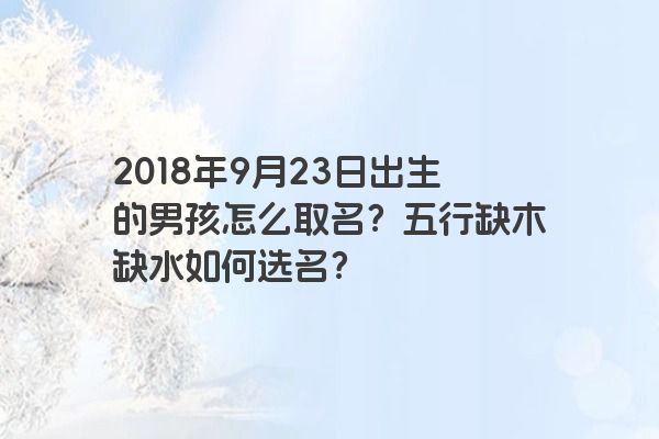 2018年9月23日出生的男孩怎么取名？五行缺木缺水如何选名？