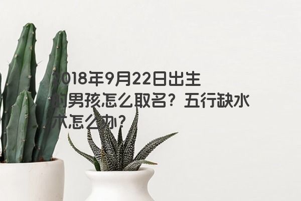 2018年9月22日出生的男孩怎么取名？五行缺水木怎么办？