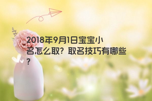 2018年9月1日宝宝小名怎么取？取名技巧有哪些？