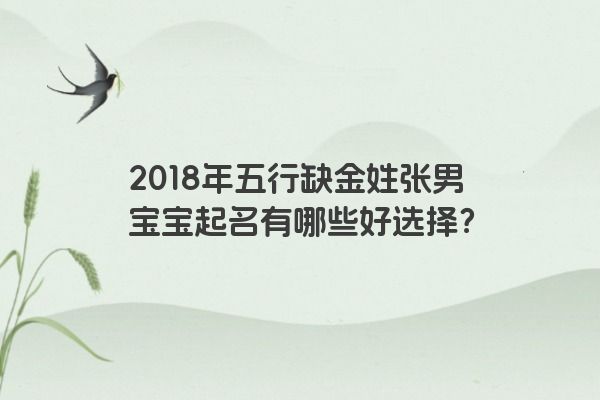 2018年五行缺金姓张男宝宝起名有哪些好选择？