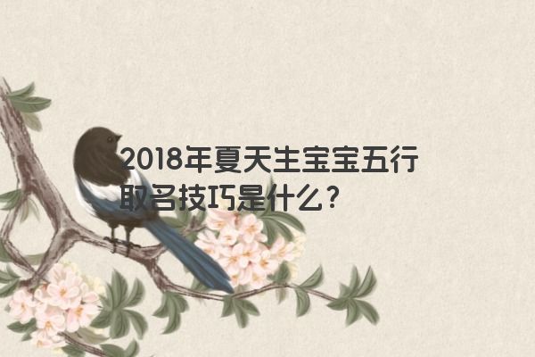2018年夏天生宝宝五行取名技巧是什么？