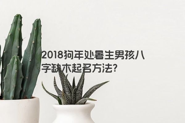 2018狗年处暑生男孩八字缺木起名方法？