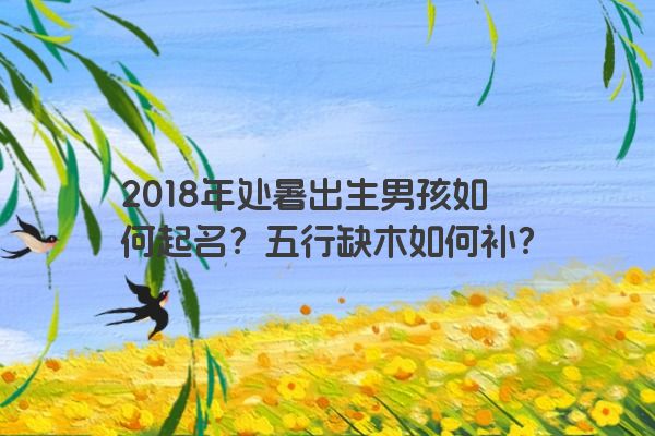 2018年处暑出生男孩如何起名？五行缺木如何补？